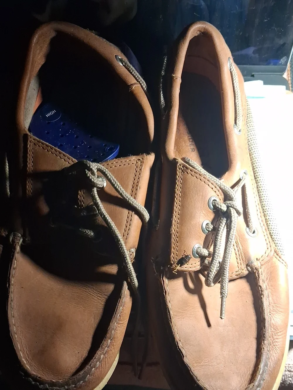 Sperry Brown Leather Boat Shoes
